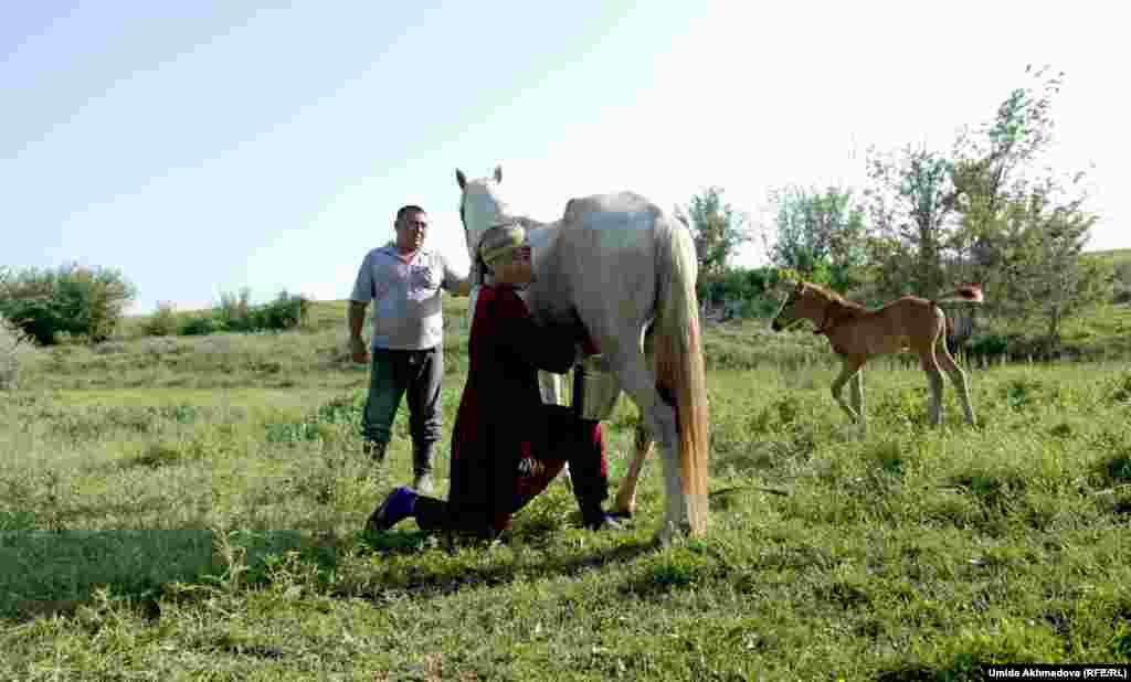 Кәсіпкер Ғалым Ташпулатов пен әйелі Замира бие сауып жатыр.